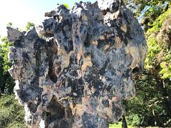 11B An unusual shaped large rock known as Chinese Scholars Rocks Chinese Garden Royal Botanical Hope Gardens Kingston Jamaica